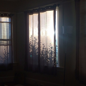 桃花满地AV亚洲
