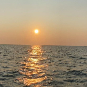 桃花满地AV亚洲
